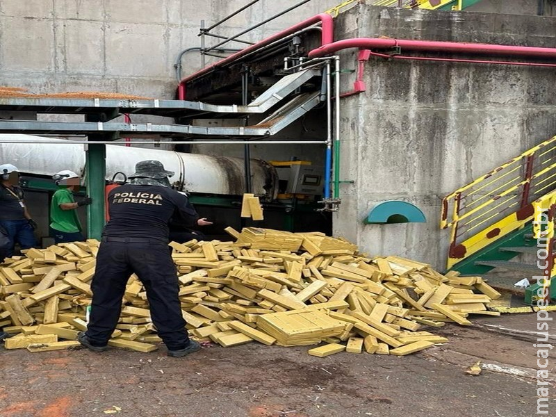 PF incinera 8,2 toneladas de maconha em Mato Grosso do Sul