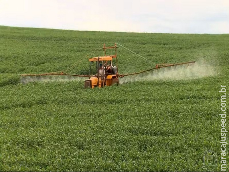  Plano do governo prevê retirar do mercado agrotóxicos ‘ultraperigosos’