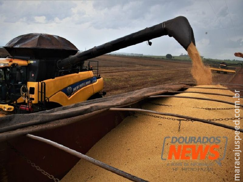 Preços de fretes para escoar grãos tem alta de 30% em rotas a partir de Dourados