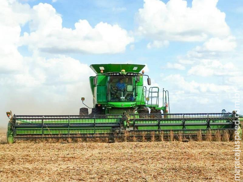Safra 25/26: colheita da soja é iniciada em Mato Grosso do Sul