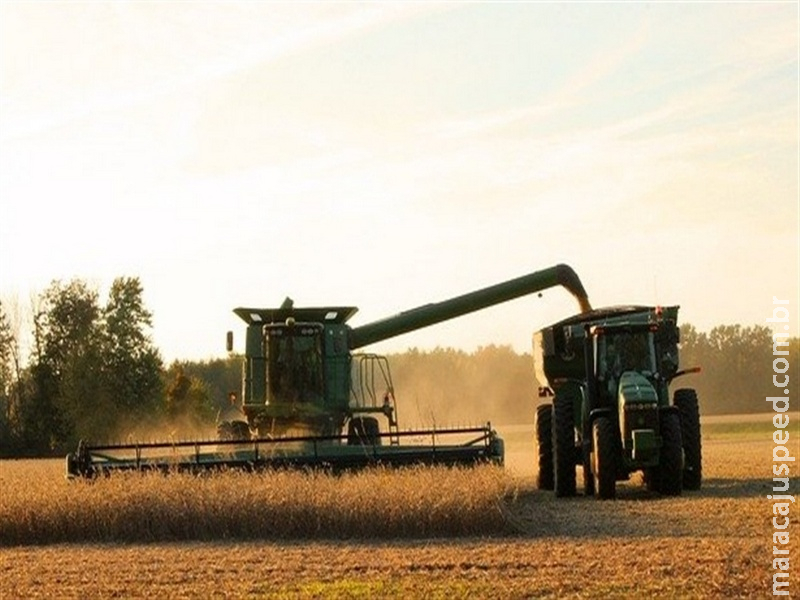  Soja 2025/26: início da colheita confirma otimismo, mas vendas seguem lentas