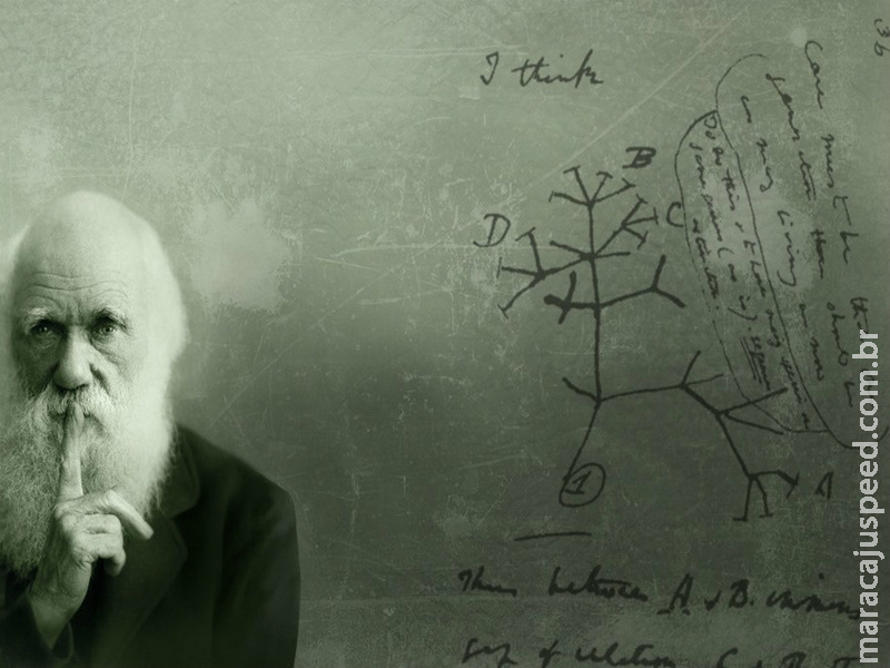 12 de fevereiro – Dia de Darwin