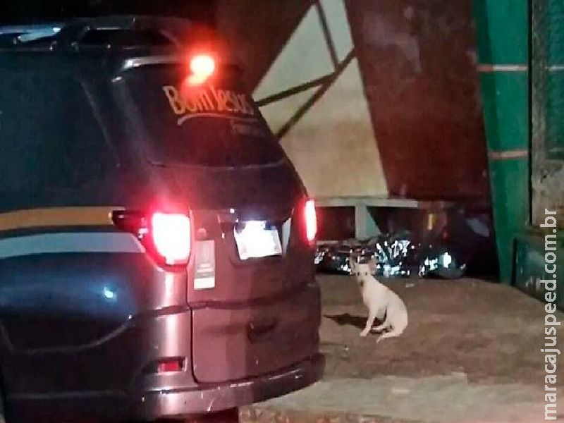  A+ A- Mulher é encontrada morta em ponto de ônibus em Caarapó  