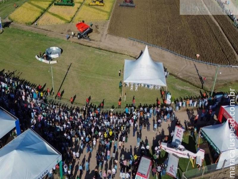  Abertura da Colheita reposiciona o debate do arroz ao conectar produção e mercado