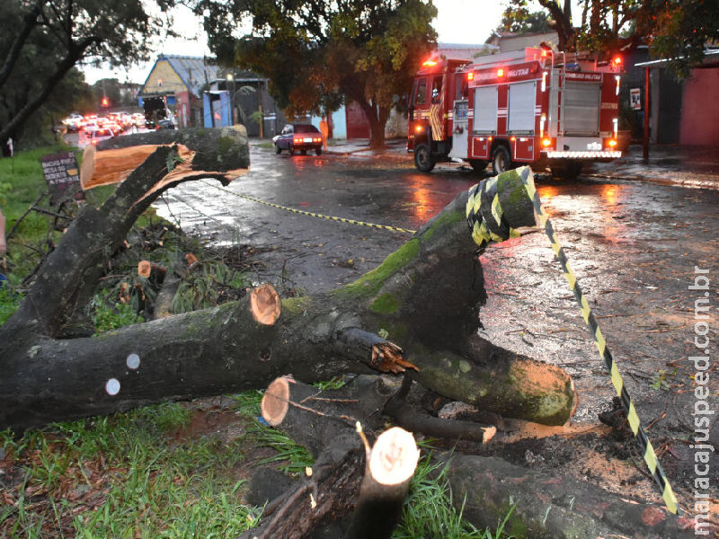 Bombeiros de MS estão entre os mais requisitados do País 