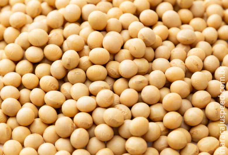 Brasil amplia exportações com novas aberturas de mercado no México e nas Filipinas