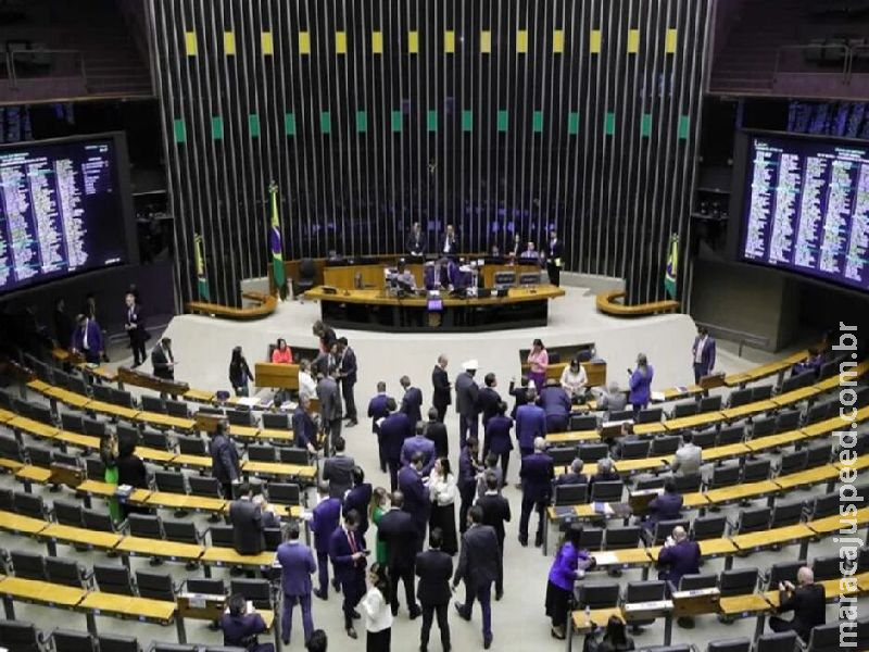 Cão Orelha: Câmara aprova urgência para incluir internação por maus-tratos no ECA 