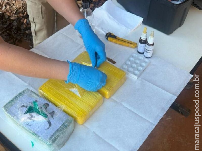 Denar incinera quase 10 toneladas de maconha e cocaína nesta sexta-feira