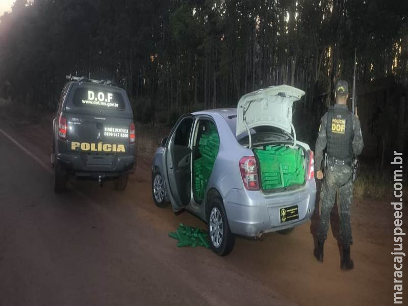 DOF recaptura foragido da Justiça com mais de uma tonelada de drogas