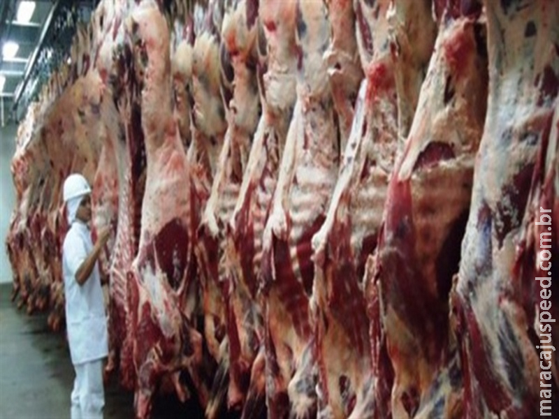 Exportações de carne bovina, soja, milho e ferro-gusa são destaque positivo na balança comercial de MS em janeiro