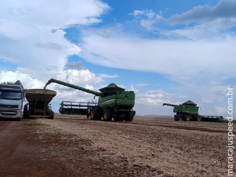 MS registra atraso de 9,3 pontos percentuais na colheita da soja 