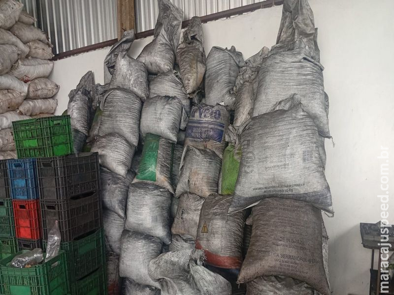 Operação fecha carvoaria ilegal em área urbana; multa chega a R$ 150 mil