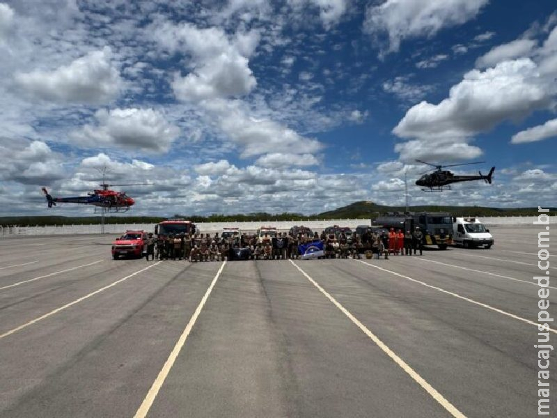 PF destrói mais de 576 mil pés de maconha na região de Salgueiro/PE