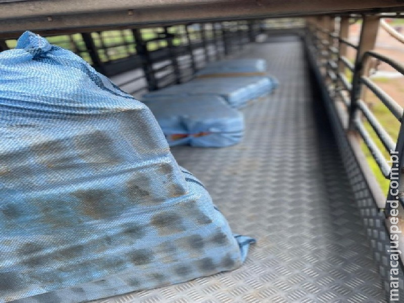 PF prende homem com 261 kg de drogas em Porto Velho/RO