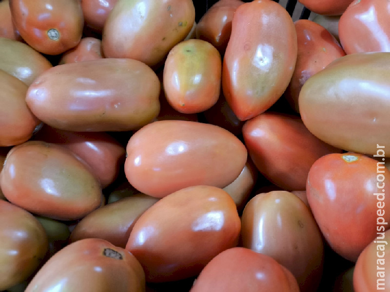 Preço do tomate puxa alta de 0,97% do custo da cesta básica em Campo Grande 