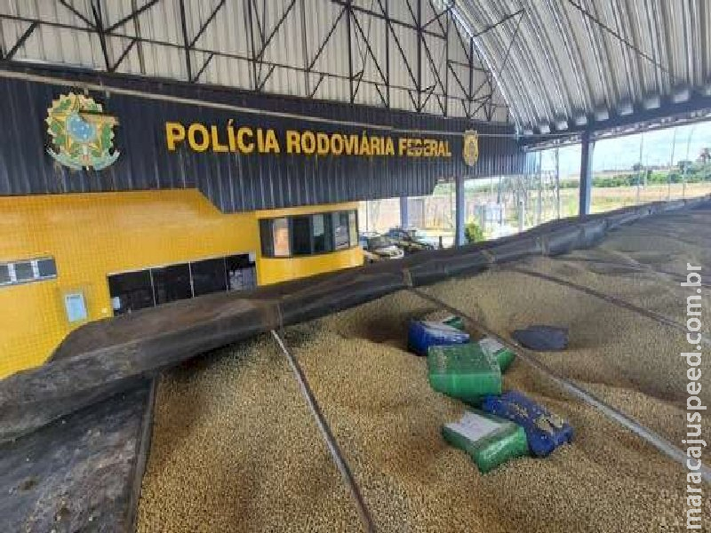 PRF apreende 3 toneladas de maconha enterrada em carga de soja que saiu de MS 