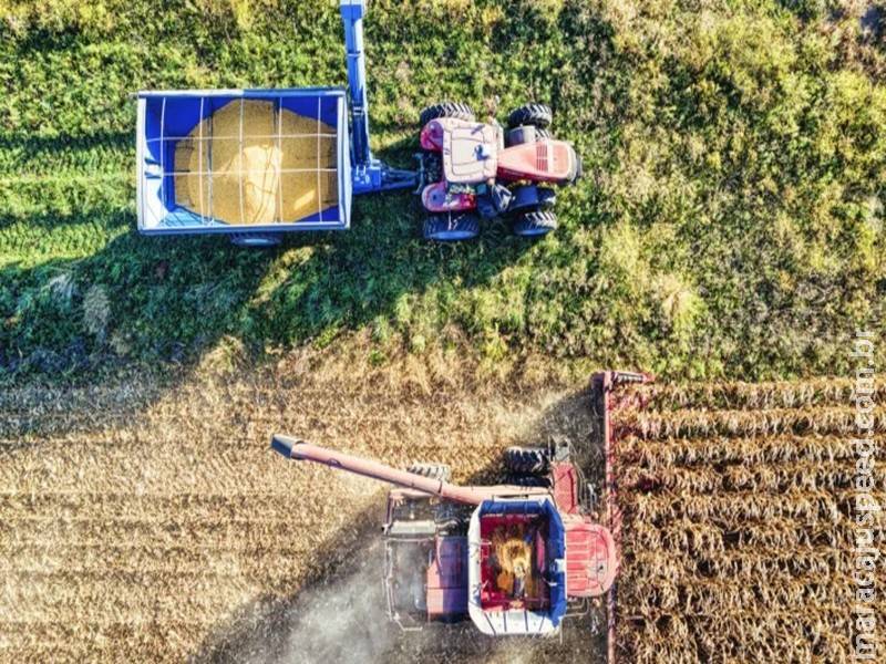 Renegociação de dívidas rurais soma R$ 7,5 bilhões e indica reequilíbrio no agro