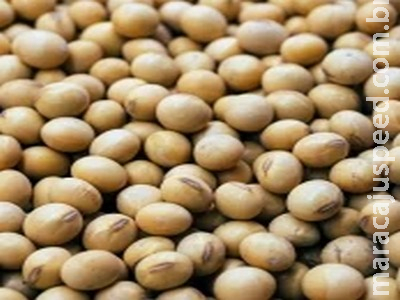  Soja em alta na Bolsa de Chicago nesta 6ª com cenário geopolítico e clima na América do Sul