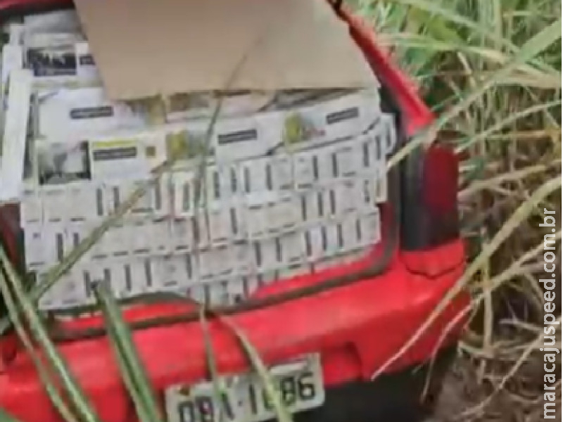 Veículos são abandonados em canavial com carga de cigarros avaliada em R$ 450 mi