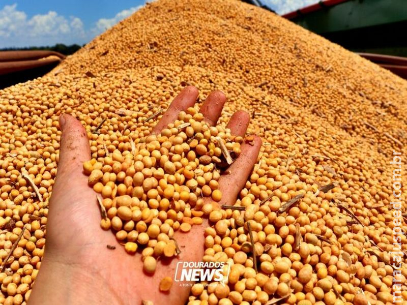 Agro brasileiro destaca o país entre grandes produtores e exportadores mundiais