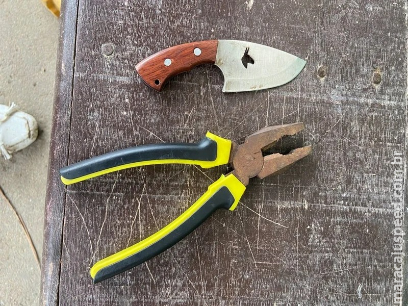 Alunos de Etec são suspeitos de torturar colegas calouros com alicate  