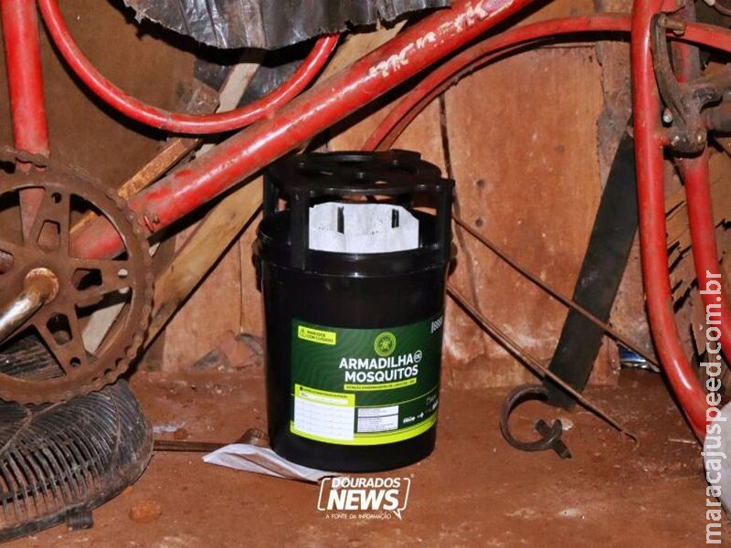 "Armadilhas" contra o Aedes são instaladas e município prevê contratação de agentes de endemia