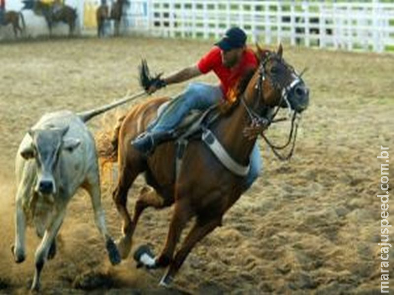 Costa Rica-MS recebe a primeira vaquejada de Mato Grosso do Sul