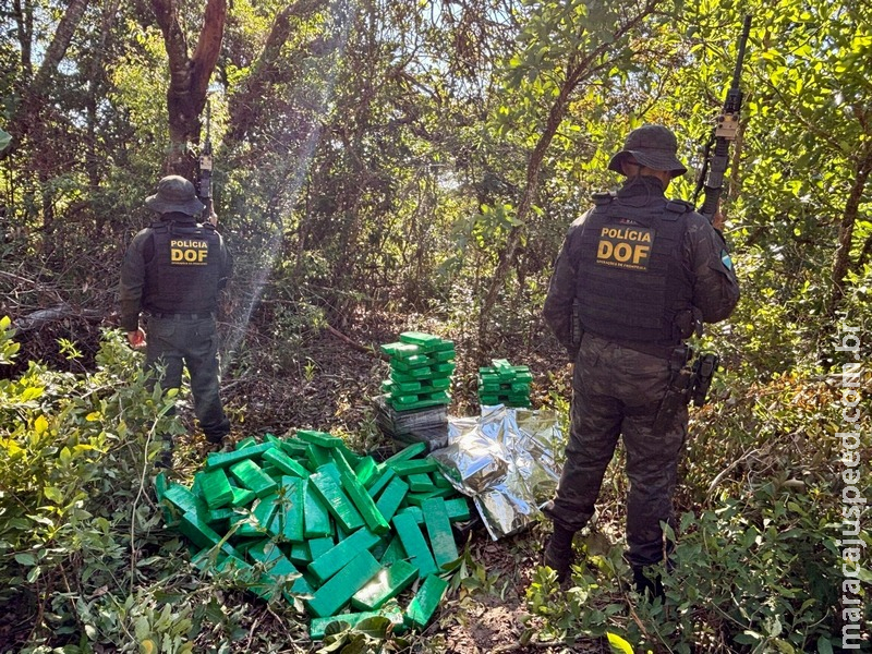 DOF apreende quase 300 quilos de drogas que seguiam para Minas Gerais