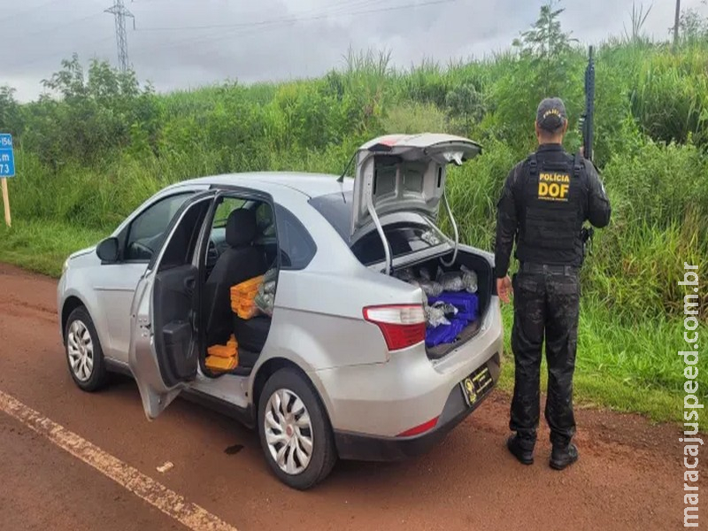 DOF prende mulher transportando mais de 300 quilos de drogas