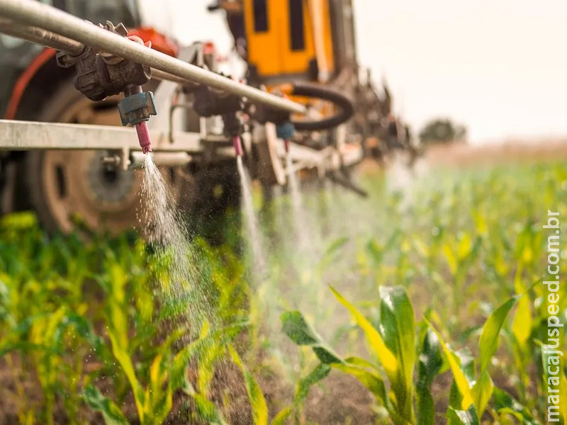 Entenda como o Brasil pretende reduzir o uso de agrotóxicos sem banir produtos