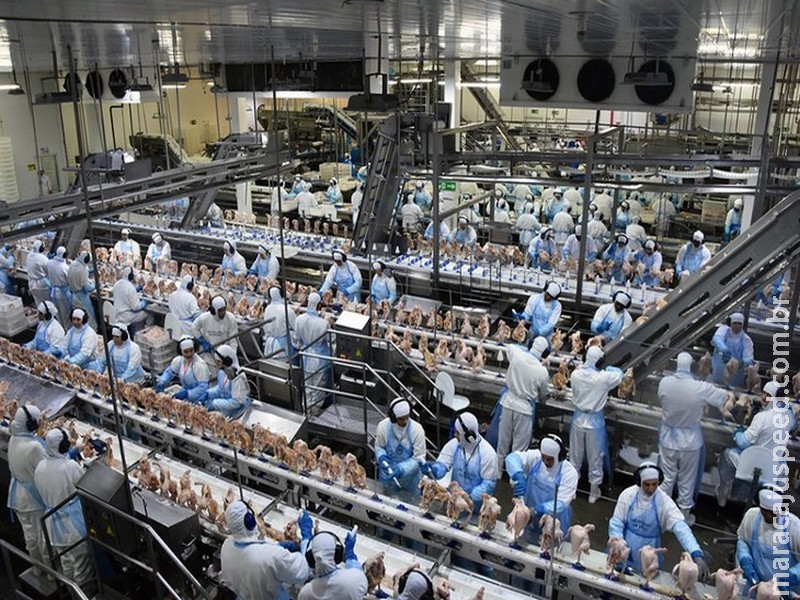 Estimativas do mercado para inflação e PIB ficam estáveis