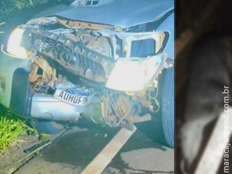 Família escapa ilesa após caminhonete bater em anta na MS-316, em Paraíso das Águas  