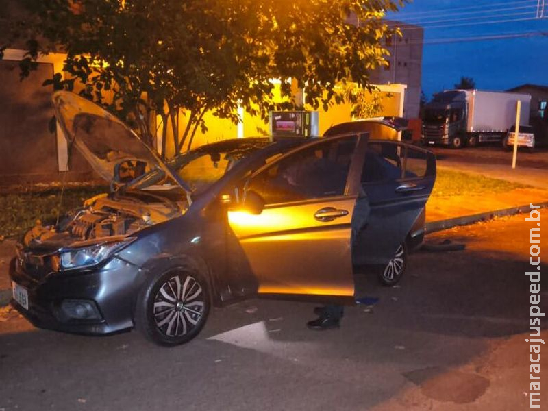 Homem é detido com arma, munições e maconha escondidos em caixa de som