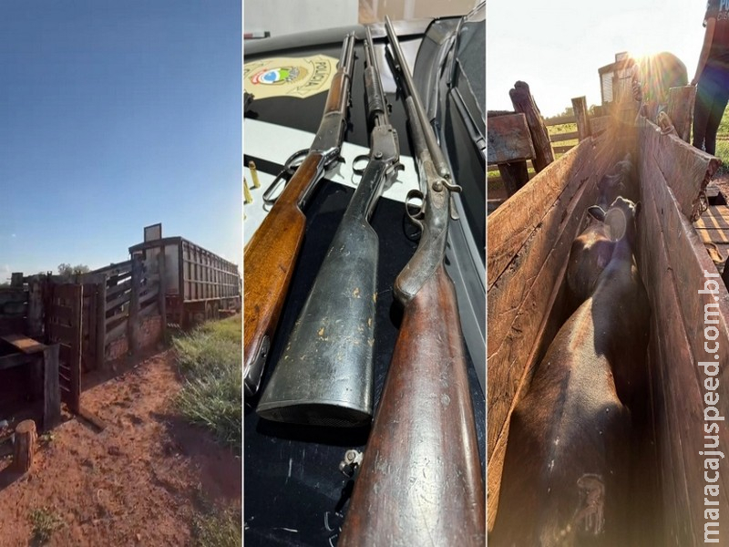 Justiça concede liberdade provisória a pai e filho presos por receptação de gado em Nova Andradina