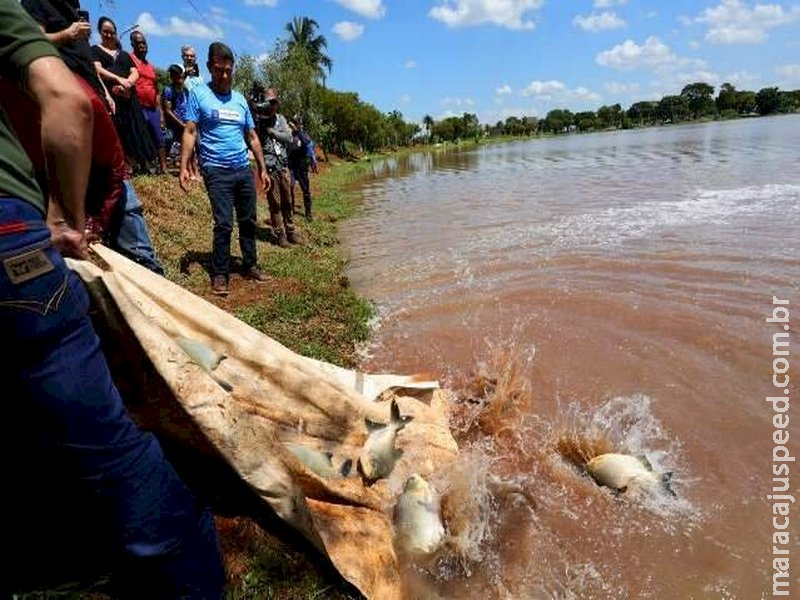 Lagos recebem 4 toneladas de peixe para pescaria de graça na cidade e aldeias 