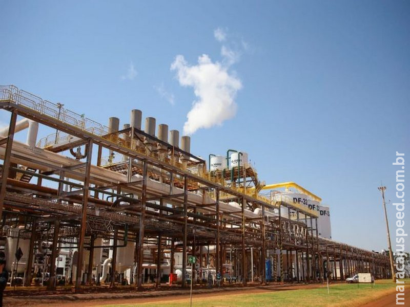 Mato Grosso do Sul projeta safra recorde de etanol, com 5 bilhões de litros produzidos em 2025/2026