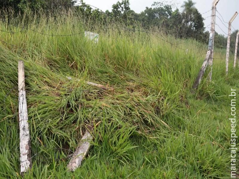 Motorista de Ford Ka perde controle do carro e derruba cercado do Exército