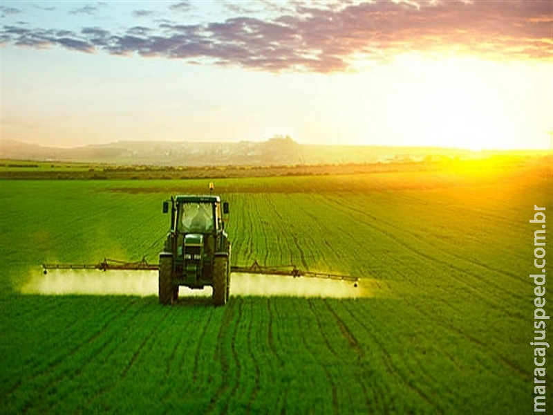 MPF pede fim de prescrição remota de agroquímicos