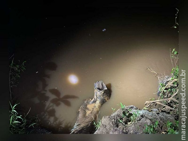 Pescador cai em rio e morre em fazenda na saída para Rochedo 