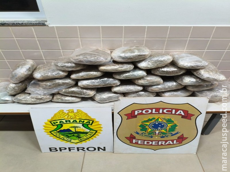 PF e BPFron/PR localizam drogas em ônibus interestadual