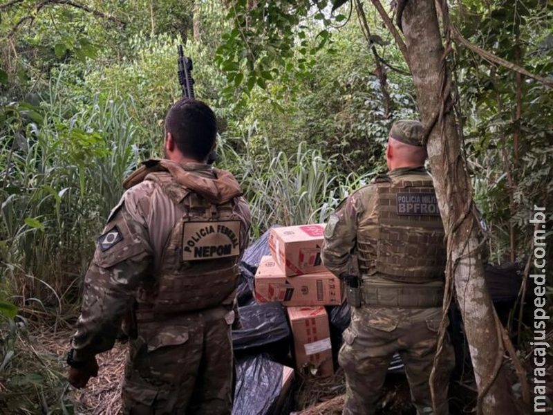 PF e BPFron/PR realizam apreensão de cigarros paraguaios e de veículo