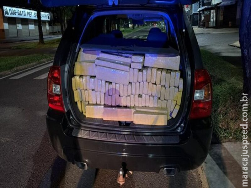 PF realiza prisão em flagrante e apreende 575 kg de maconha