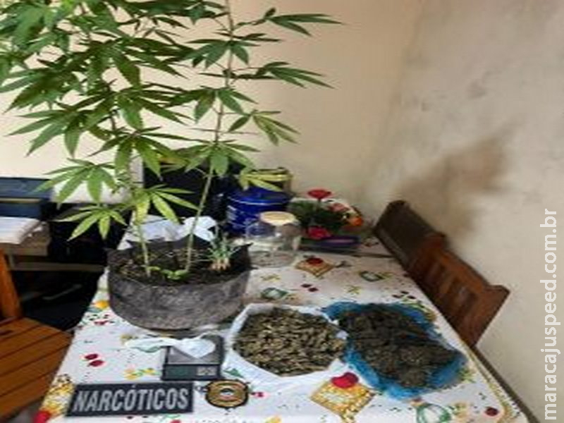 Polícia Civil deflagra operação em Ladário e Corumbá e prende duas pessoas por tráfico de drogas