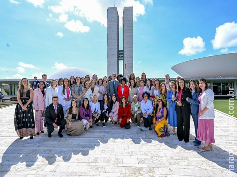 Prioridades da bancada feminina para 2026 têm foco no combate ao feminicídio e na busca por orçamento