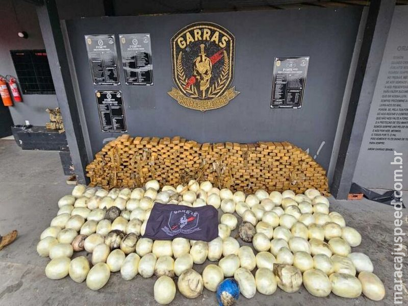 Quase uma tonelada de cocaína é apreendida durante operação que terminou com cinco presos