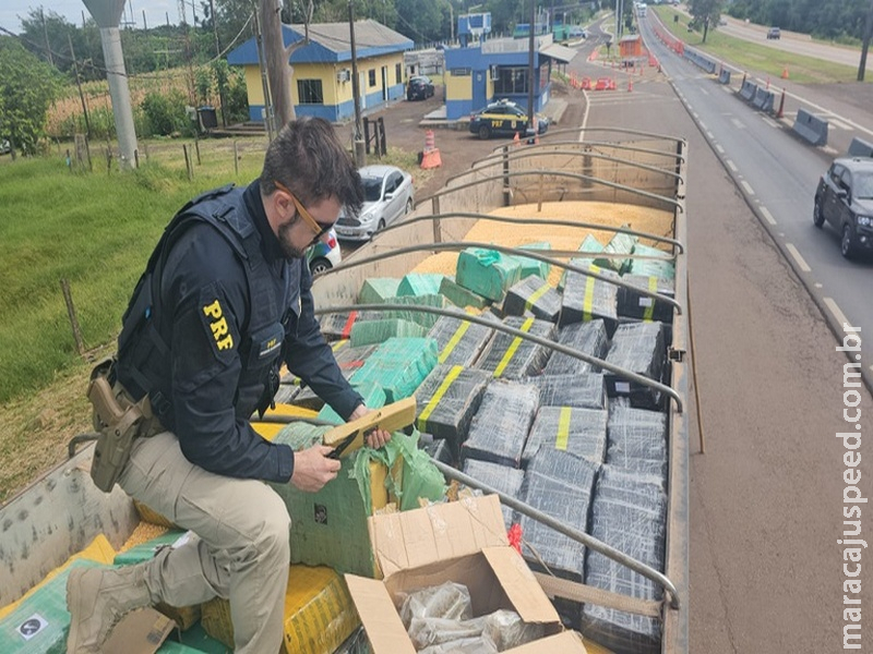 Rota do Tráfico: Carga que saiu de Maracaju com 4 toneladas de maconha é interceptada pela PRF