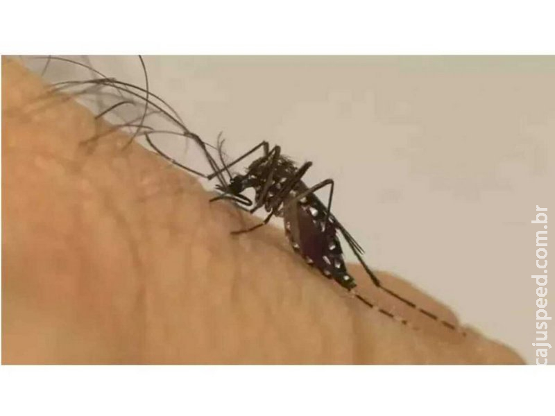 Adolescente de 13 anos morre com suspeita de dengue em cidade do MS 