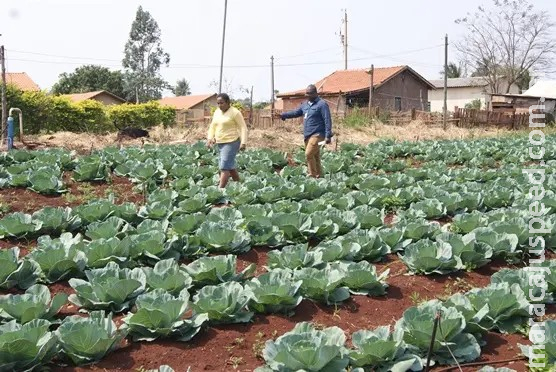 Agraer-MS repassa R$ 100 mil à comunidade Quilombola para funcionamento de panificadora