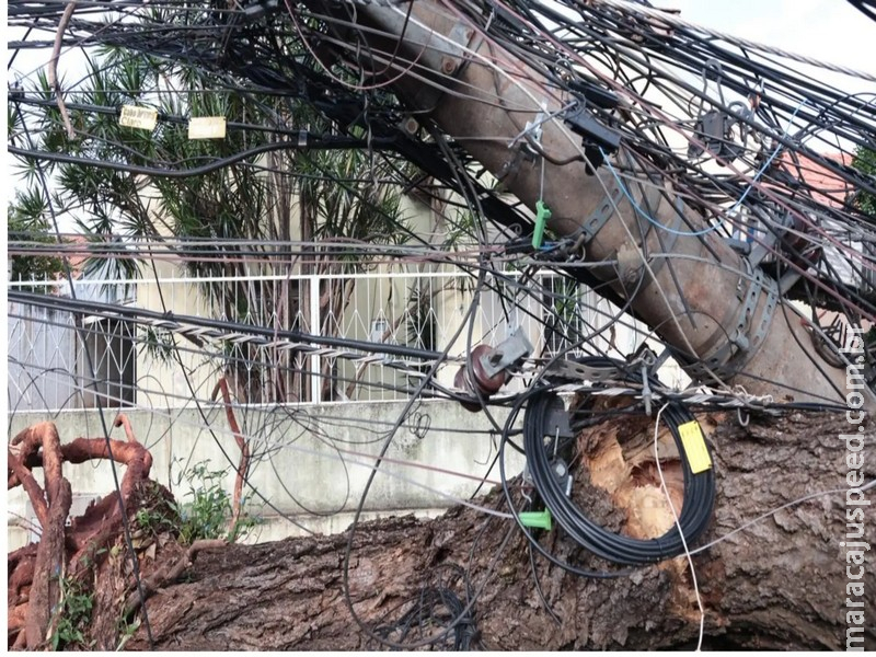 Árvore cai, derruba poste e quebra telhado de residência na Vila Carvalho