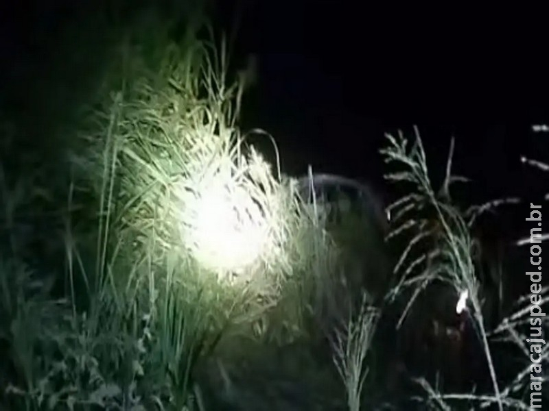 Carro bate em anta, capota na BR-262 e vai parar fora da pista